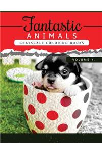 Fantastic Animals Book 4
