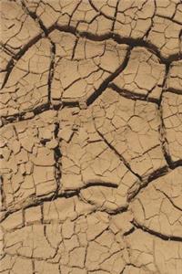 Cracked Mud in Death Valley California Journal