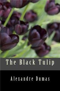 The Black Tulip