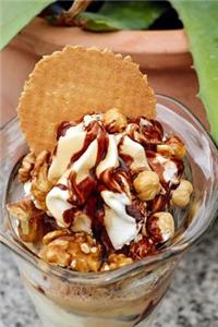 Ice Cream Sundae Dessert Journal