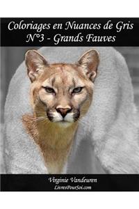 Coloriages en Nuances de Gris - N° 3 - Grands Fauves