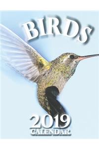 Birds 2019 Calendar