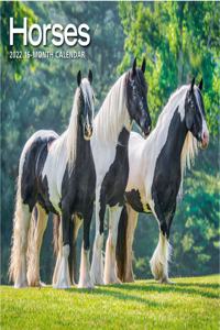 Horses Deluxe 2022 Wall Calendar
