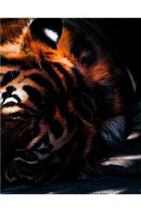 The Lion Notebook