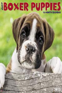 Just Boxer Puppies 2018 Wall Calendar (Dog Breed Calendar)