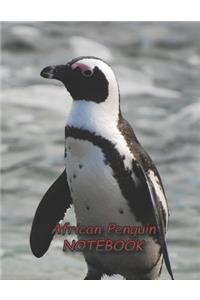 African Penguin NOTEBOOK