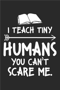 I teach tiny humans you can't scare me