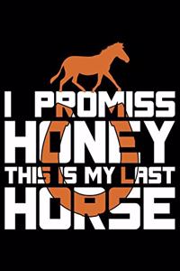 I Promise Honey This Is My Last Horse