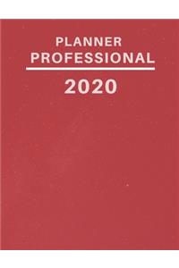 planner professional 2020