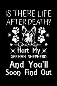 Is There Life After Death Hurt My German Shepherd And You'll Soon Find Out