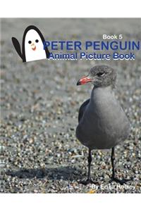 Peter Penguin