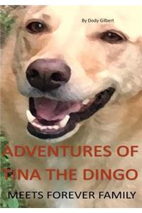 Adventures of Tina the Dingo