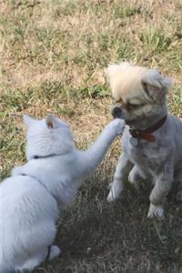 Cat Says to Dog, 