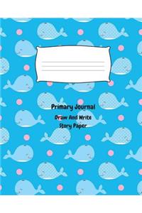Primary Journal Draw and Write Story Paper