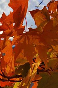 Fall 2019 Daily Planner Orange Leaves Mountain Sunrise 384 Pages