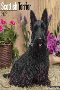 Scottish Terrier 2021 Wall Calendar
