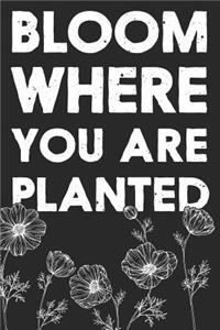 Bloom Where You Are Planted
