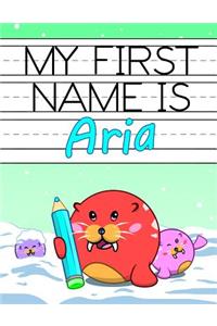 My First Name is Aria