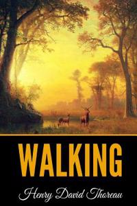 Walking