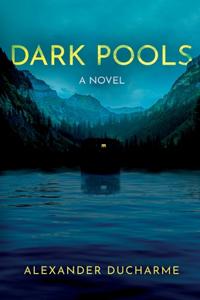 Dark Pools