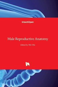 Male Reproductive Anatomy