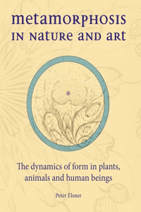 Metamorphosis in Nature and Art