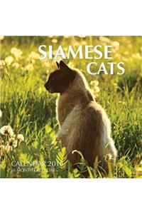 Siamese Cats Calendar 2018