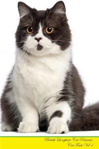 British Longhair Cat Presents