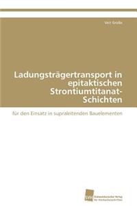 Ladungsträgertransport in epitaktischen Strontiumtitanat-Schichten