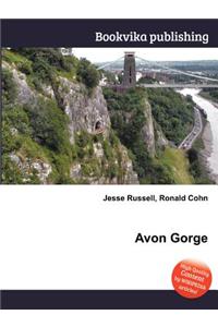 Avon Gorge