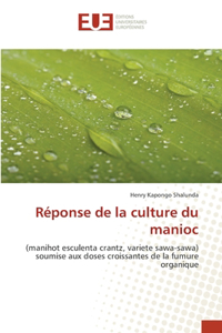 Réponse de la culture du manioc