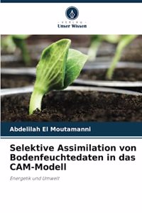 Selektive Assimilation von Bodenfeuchtedaten in das CAM-Modell