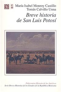 Breve Historia de San Luis Potosi