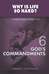 Volume 6