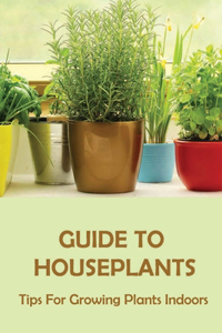 Guide To Houseplants