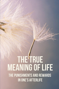The True Meaning Of Life