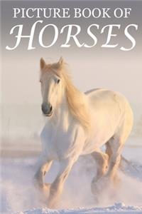 Picture Book of Horses