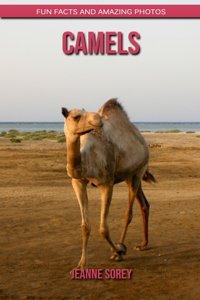 Camels