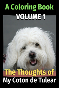 The Thoughts of My Coton de Tulear