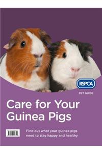 Care for Your Guinea Pigs