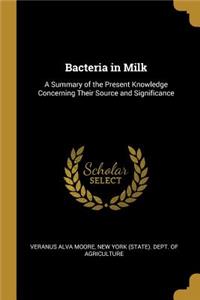 Bacteria in Milk