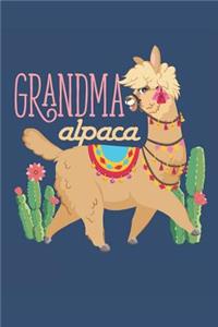 Grandma Alpaca