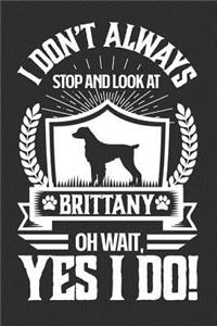 I Don't Always Stop and Look At Brittany OH Wait, Yes I Do!
