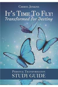 It's Time to Fly! Transformed for Destiny