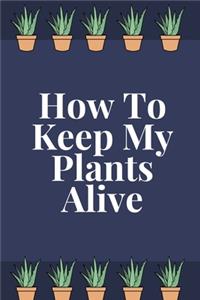 How To Keep My Plants Alive