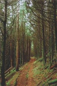 Appalachian Trail Journal Sketchbook