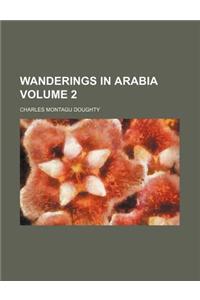 Wanderings in Arabia Volume 2