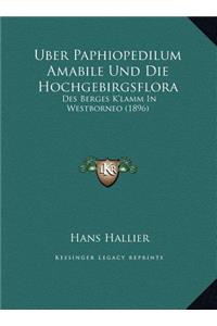 Uber Paphiopedilum Amabile Und Die Hochgebirgsflora
