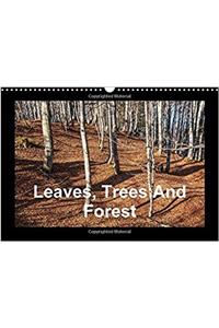 Leaves, Trees and Forest 2017