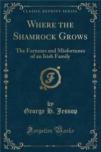 Where the Shamrock Grows: The Fortunes and Misfortunes of an Irish Family (Classic Reprint)